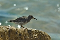 13 04 12_9349_edited-1